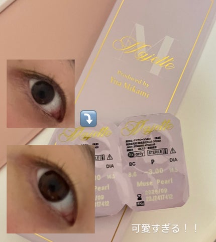 Majette 1day ミスドール/Majette/ワンデー(1DAY)カラコンの画像