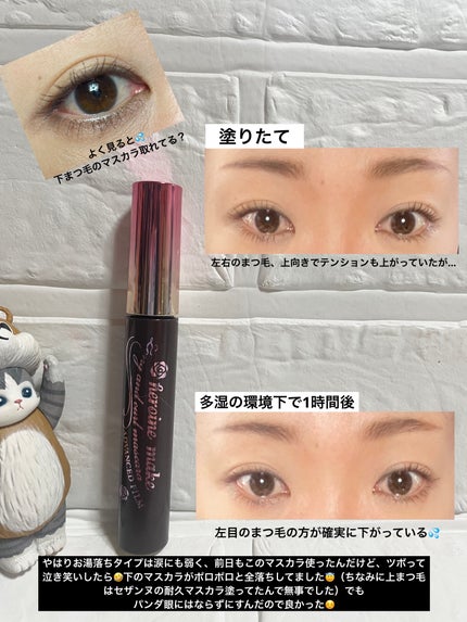 ロング&カールマスカラ アドバンストフィルム/ヒロインメイク/マスカラを使ったクチコミ(2枚目)