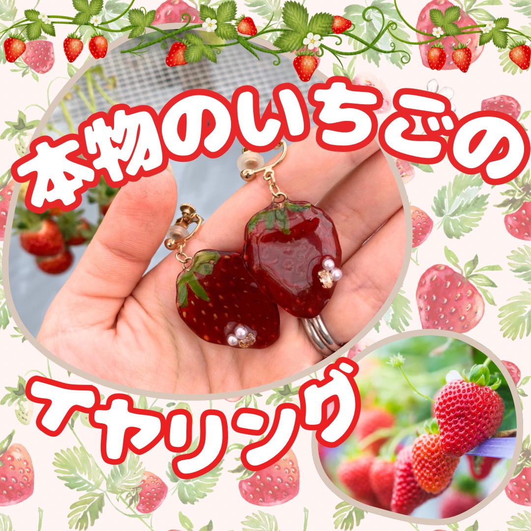 【本物のいちごのイヤリング🍓】

こんにちは　ゆきたん　です💕

先日いちご大好きな息子といちご狩りに行ってきました🍓

そんないちご狩りや、いちごビュッフェなどのコーデにオススメなアクセサリーを見つけました！

コトモノマルシェで見