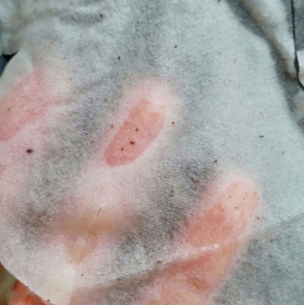 ワフードメイド 宇治抹茶マスク/pdc/シートマスク・パックを使ったクチコミ(4枚目)