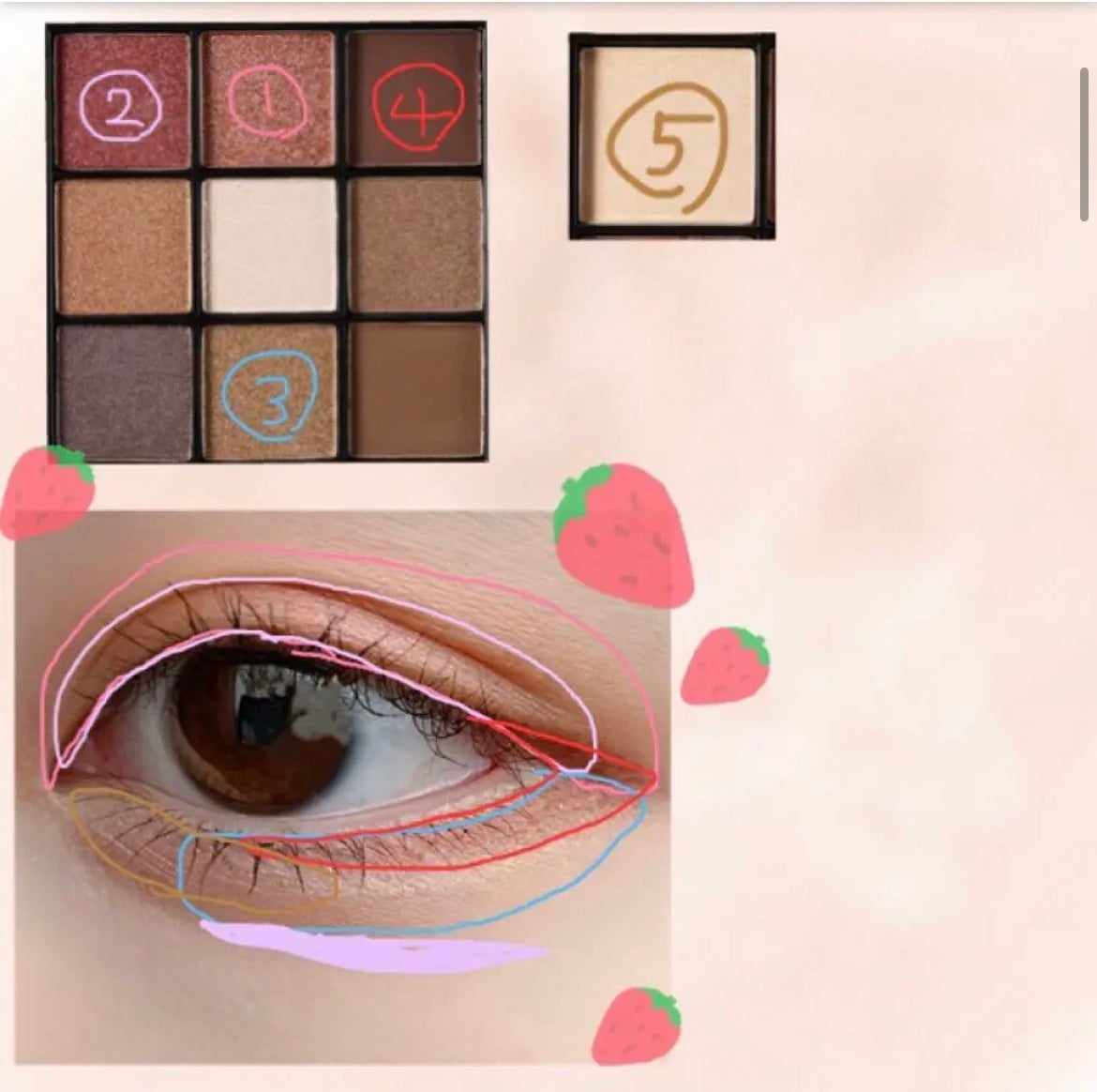 UR GLAM BLOOMING EYE COLOR PALETTE/U R GLAM/アイシャドウパレットを使ったクチコミ(2枚目)