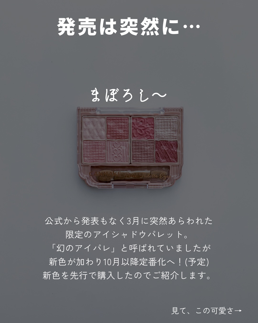 プティパレットアイズ/キャンメイク/パウダーアイシャドウを使ったクチコミ（2枚目）