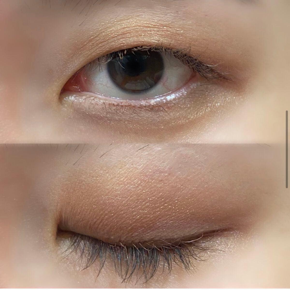 リアルクローズシャドウ/excel/アイシャドウパレットを使ったクチコミ(6枚目)