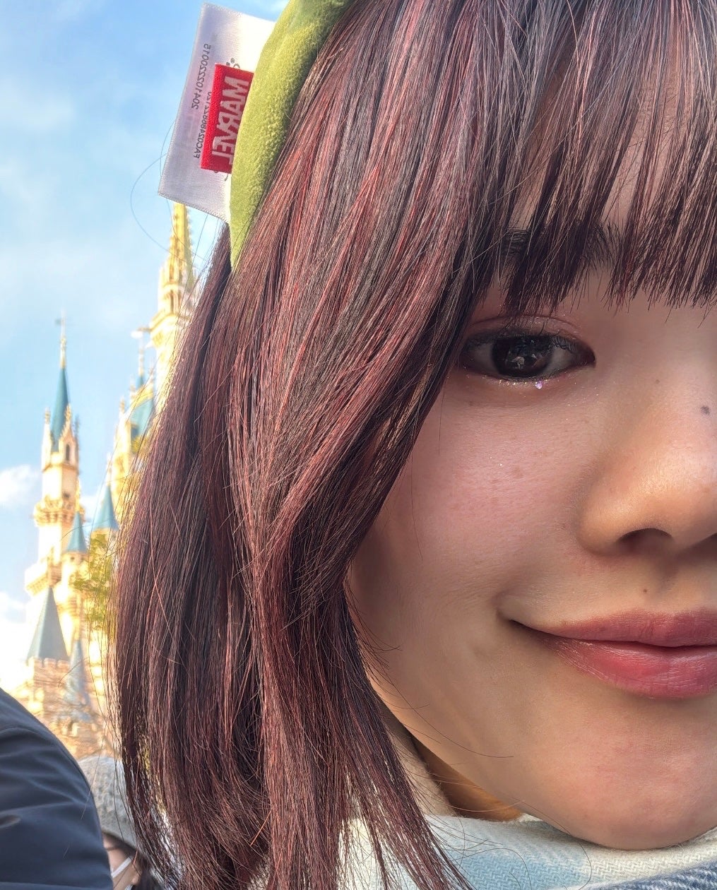 日嘉里 on LIPS 「ピンクメイクでディズニーへ🩷やっぱり青みっぽいキャンディーピン..」(2枚目)