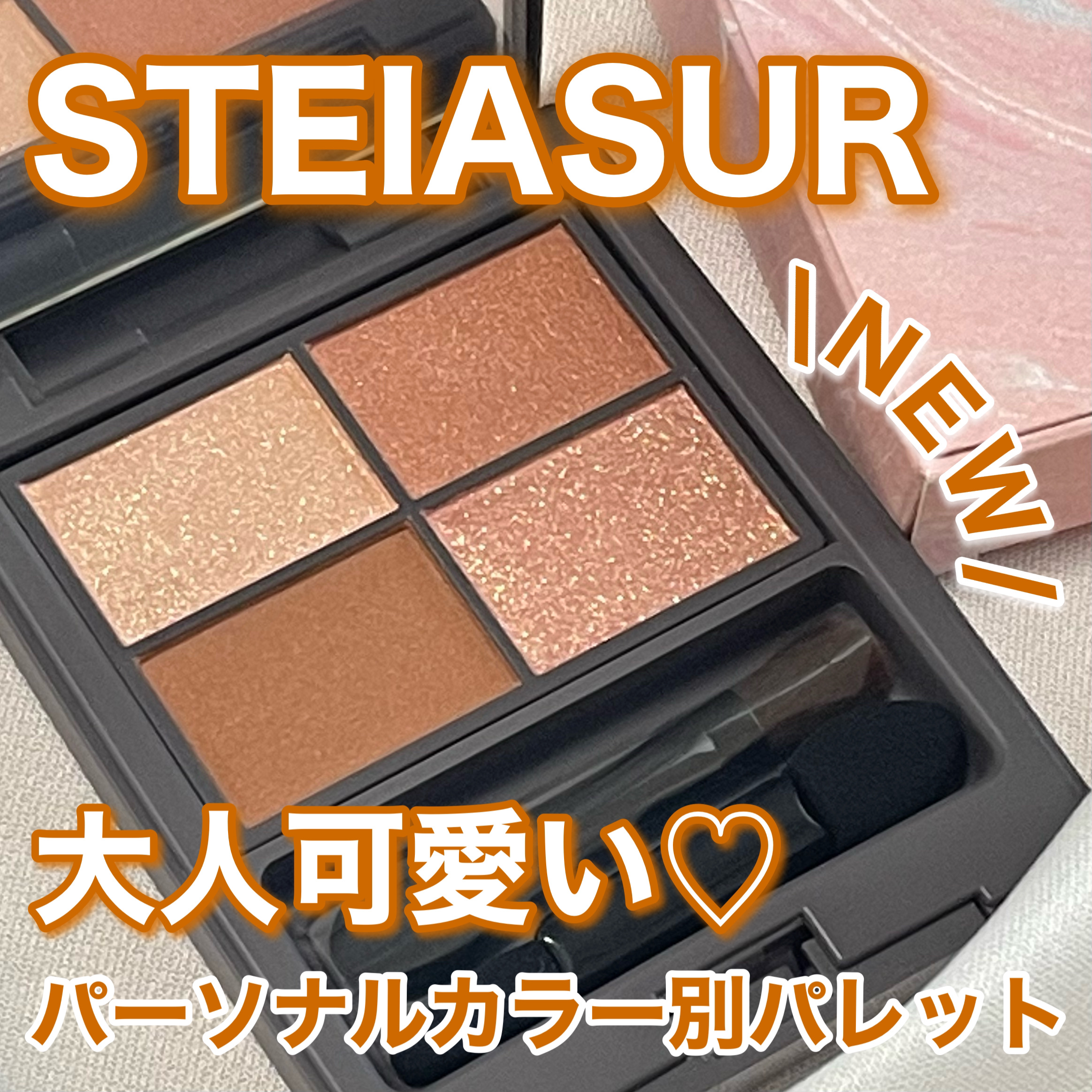 アンノウンアイズ/STEIASUR（ステイアシュール）/アイシャドウパレットを使ったクチコミ（1枚目）