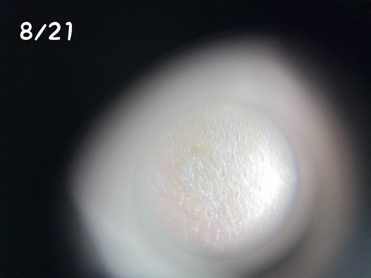 リードルショット300/VT/美容液を使ったクチコミ(5枚目)