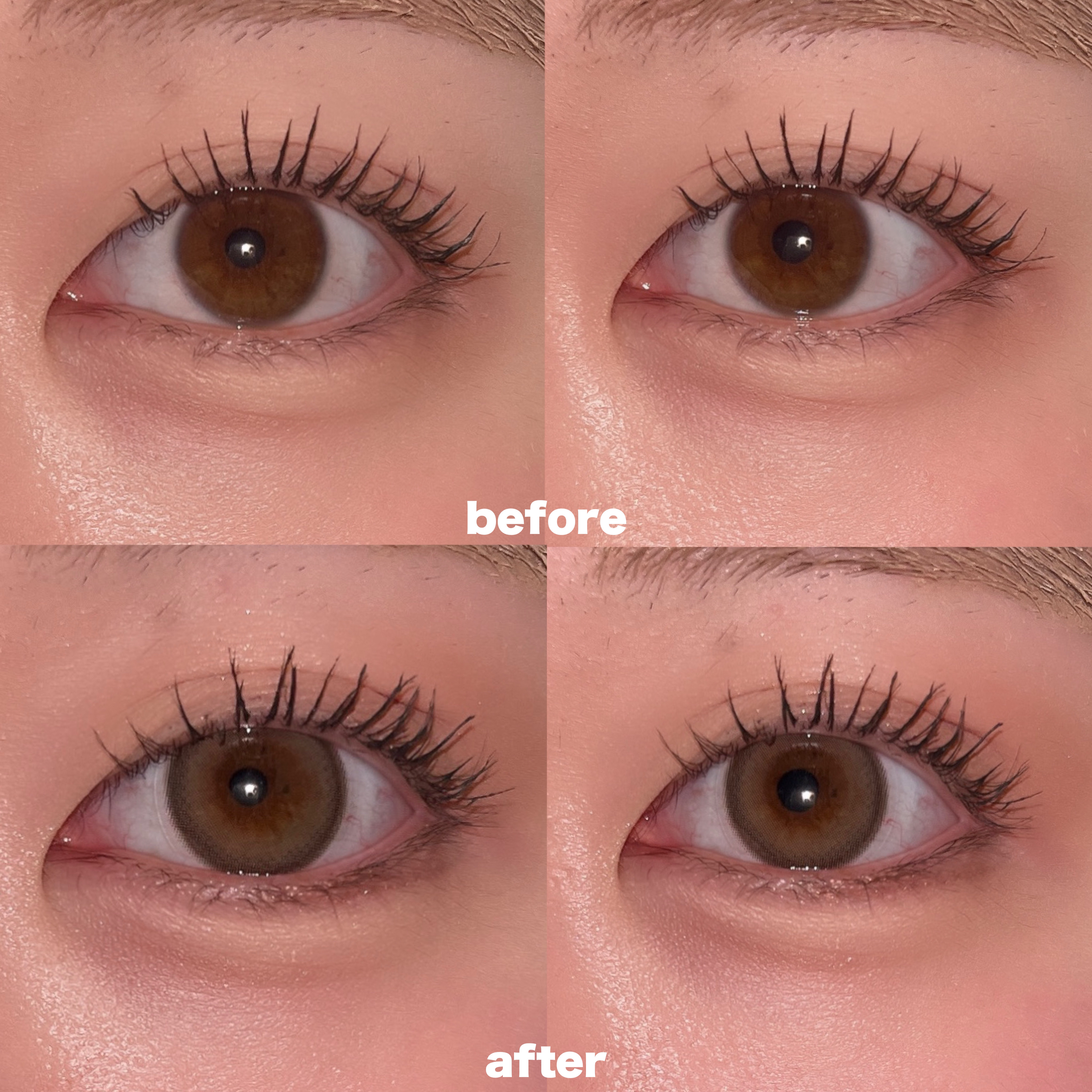 Moodnight 1day Mood Brown/OLENS/ワンデー（１DAY）カラコンを使ったクチコミ（2枚目）