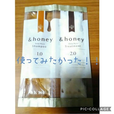 ディープモイスト シャンプー1.0／ヘアトリートメント2.0/&honey/シャンプー・コンディショナーを使ったクチコミ（1枚目）