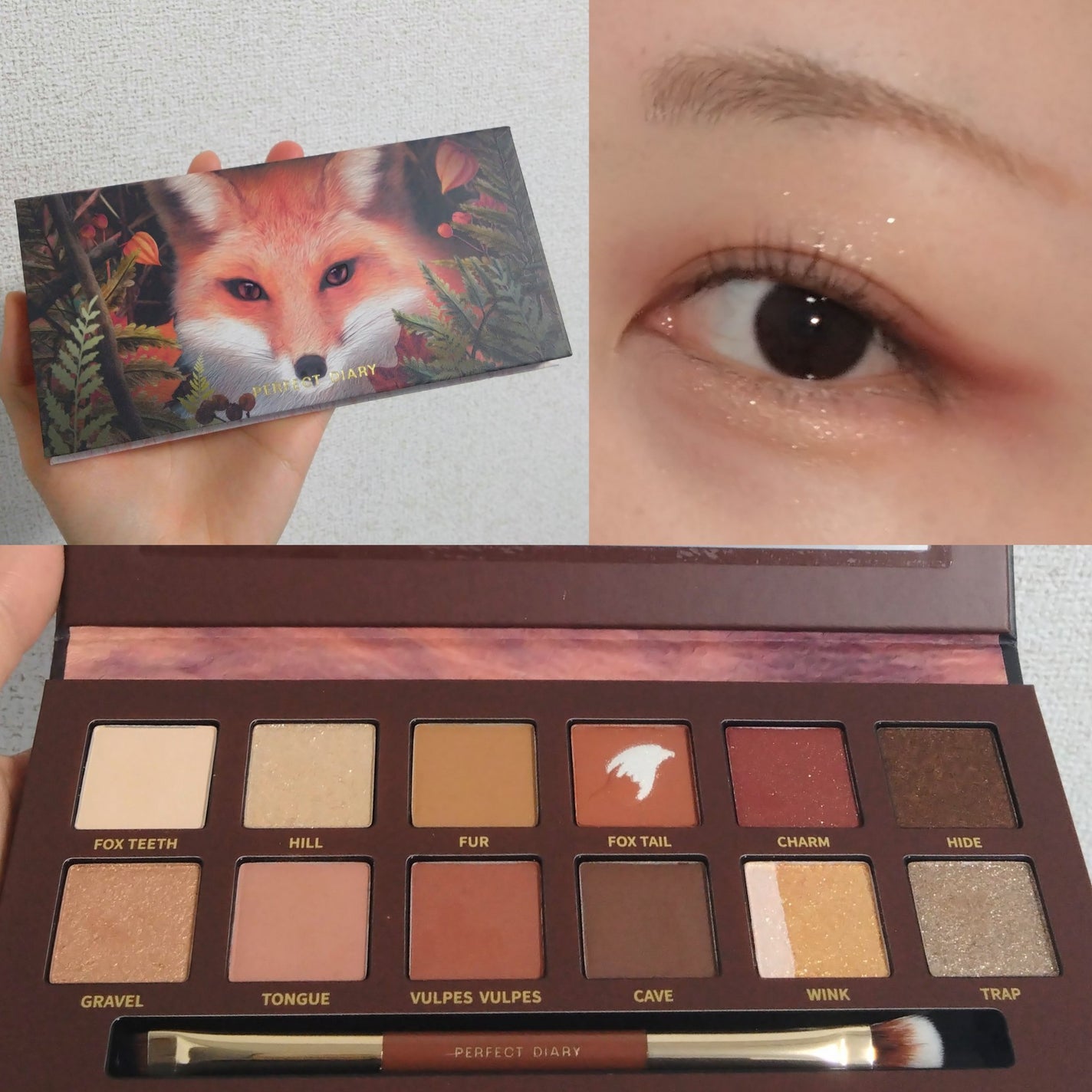 エクスプローラ12色 動物アイシャドウパレット/PERFECT DIARY/アイシャドウパレットを使ったクチコミ(5枚目)