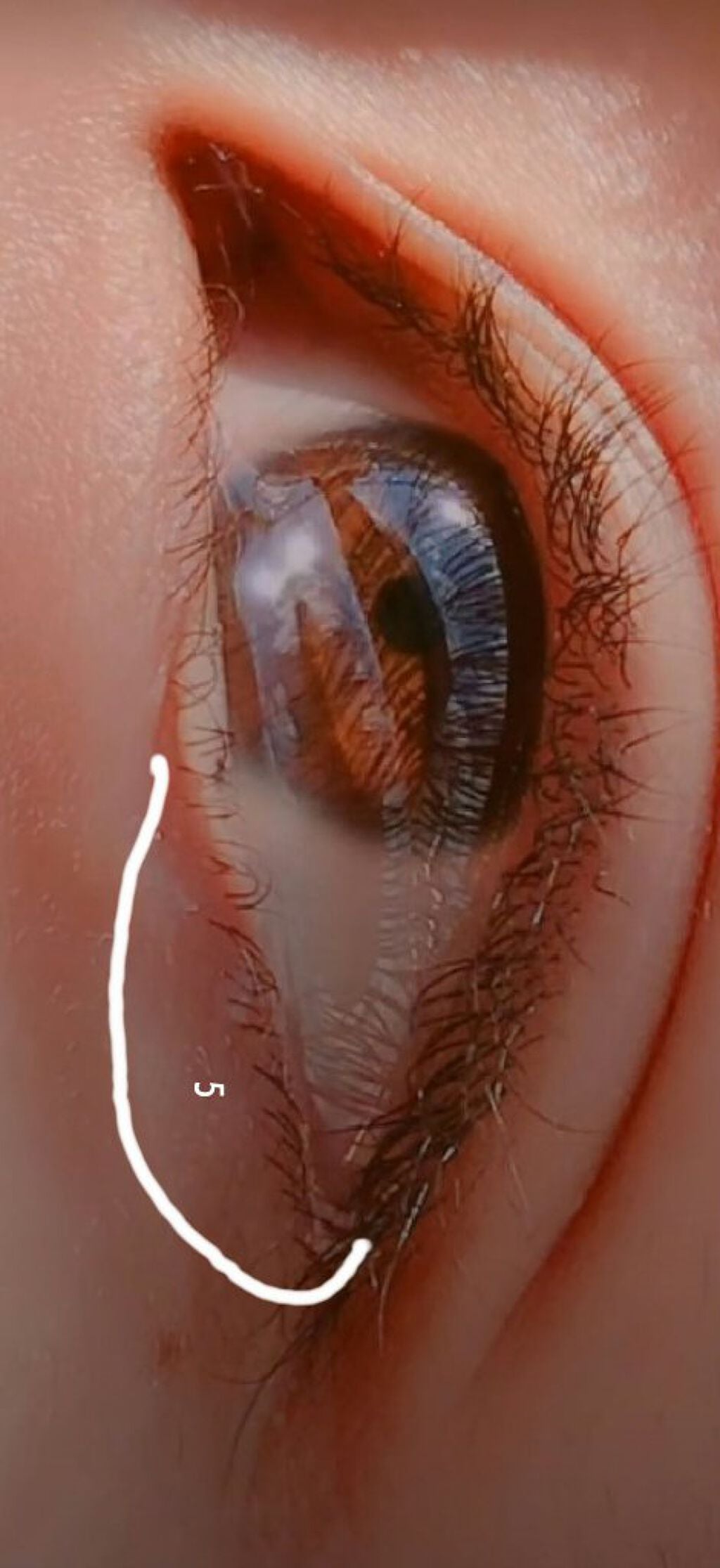 UR GLAM BLOOMING EYE COLOR PALETTE/U R GLAM/アイシャドウパレットを使ったクチコミ(5枚目)