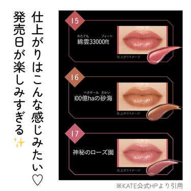 リップモンスター/KATE/口紅の画像