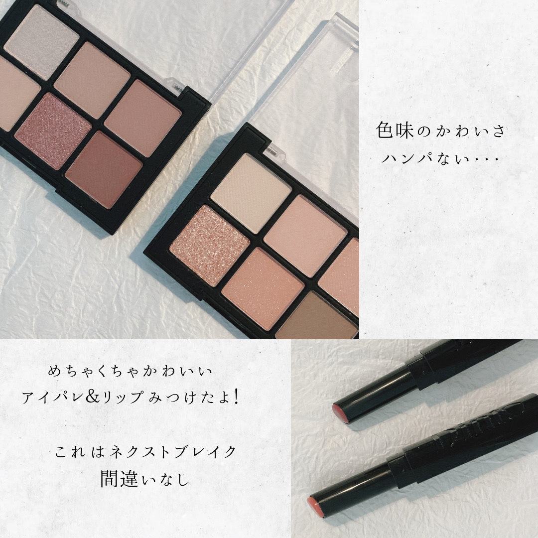 ブラーフィニシュシャドウパレット/Dinto/アイシャドウパレットを使ったクチコミ（2枚目）