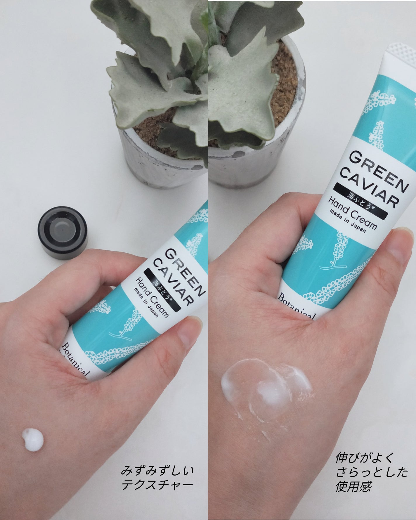 Botanicalネイル&ハンドクリーム 海ぶどう/Ryu Spa/ハンドクリームを使ったクチコミ(3枚目)