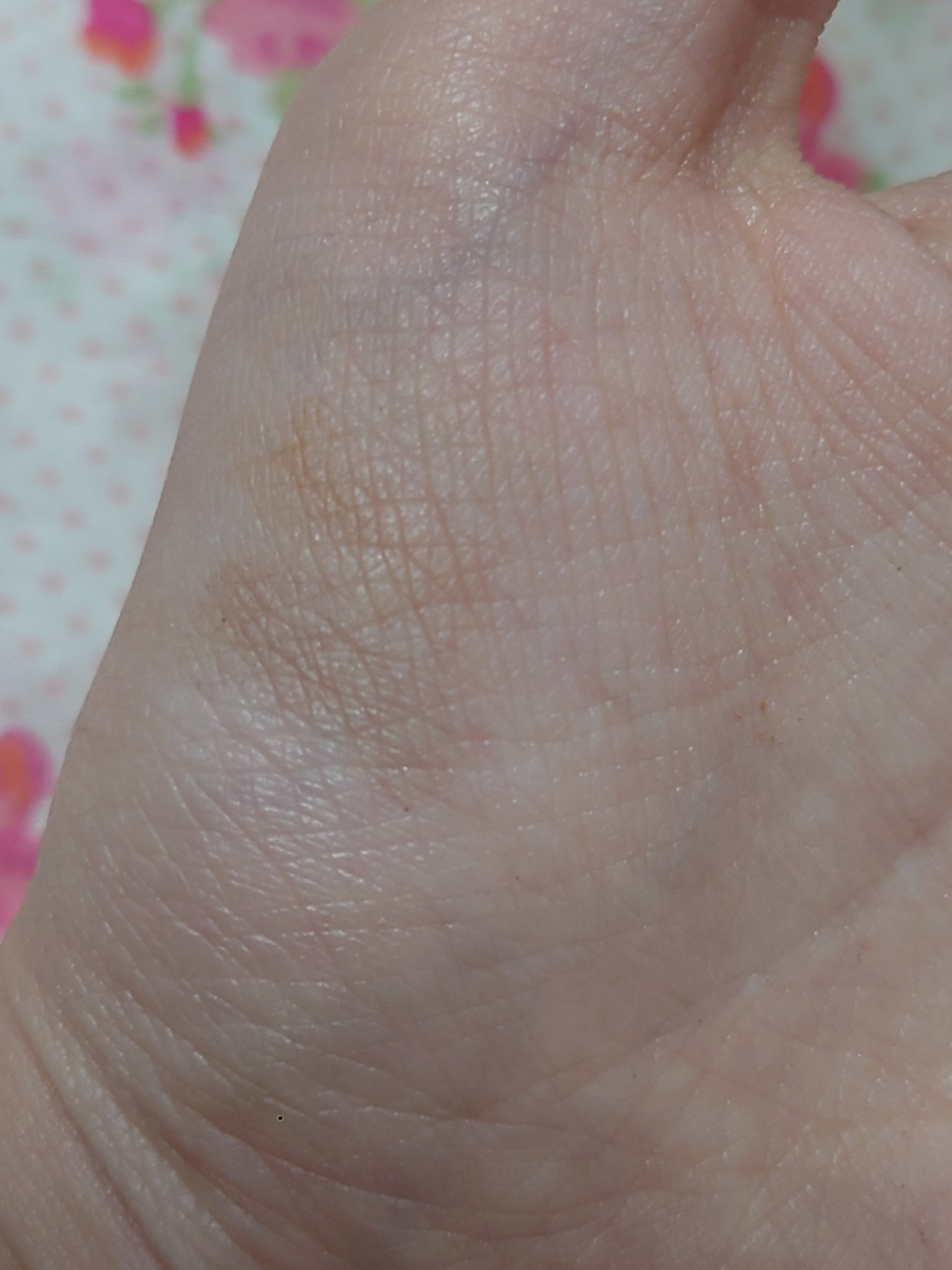 ノーズ＆アイブロウパウダー/CEZANNE/パウダーアイブロウを使ったクチコミ（3枚目）