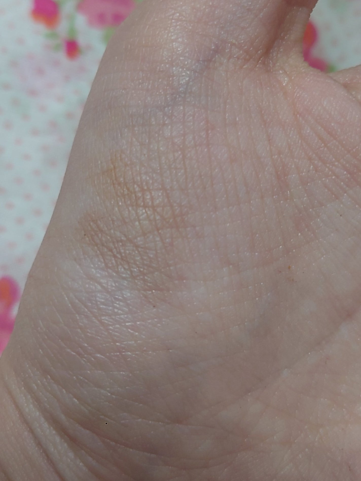 ノーズ&アイブロウパウダー/CEZANNE/パウダーアイブロウを使ったクチコミ(3枚目)