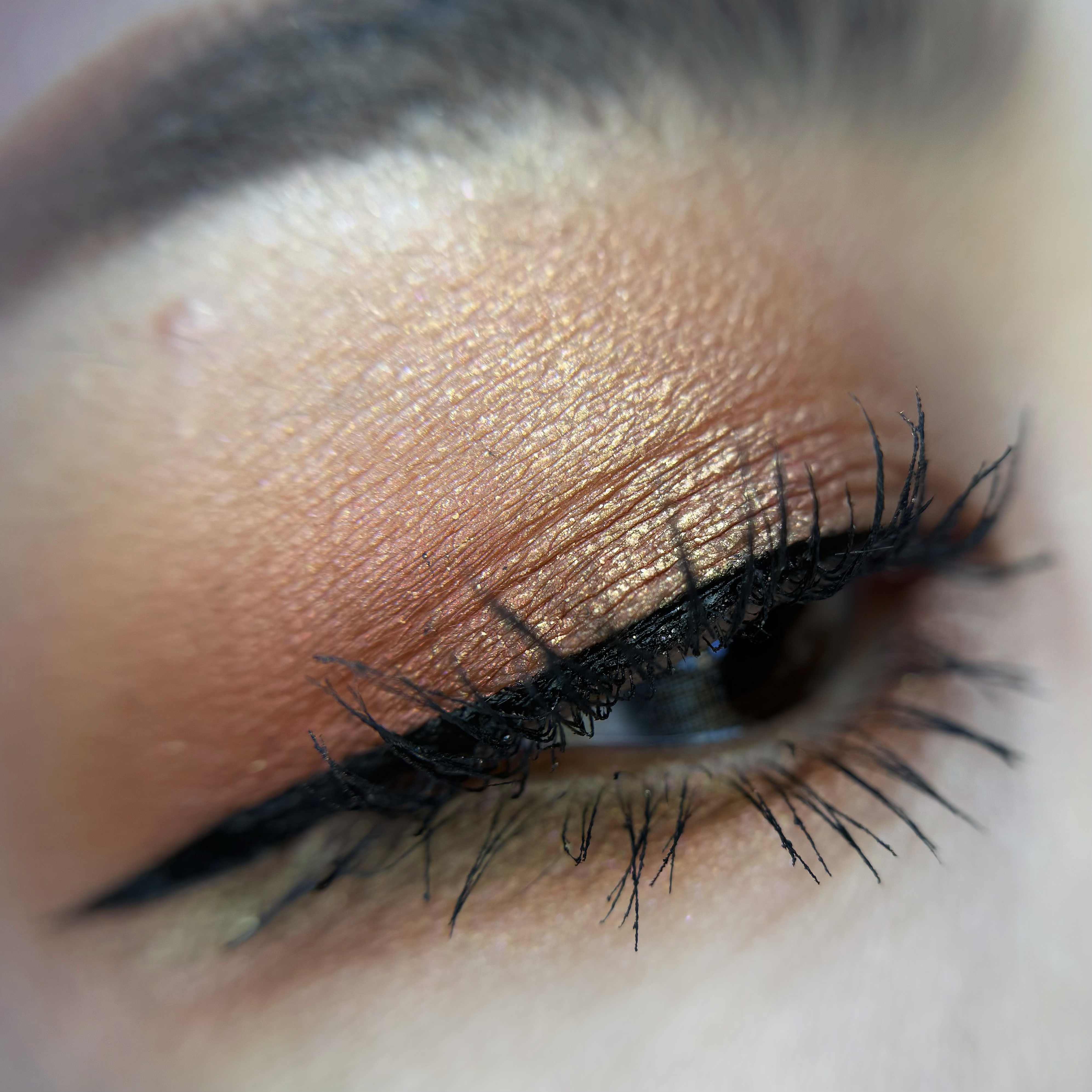 スモール アイシャドウ ×6 ラブストラック ラック/M・A・C/アイシャドウパレットを使ったクチコミ（3枚目）