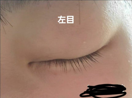 ラッシュジェリードロップ EX/MAJOLICA MAJORCA/まつげ美容液を使ったクチコミ(4枚目)