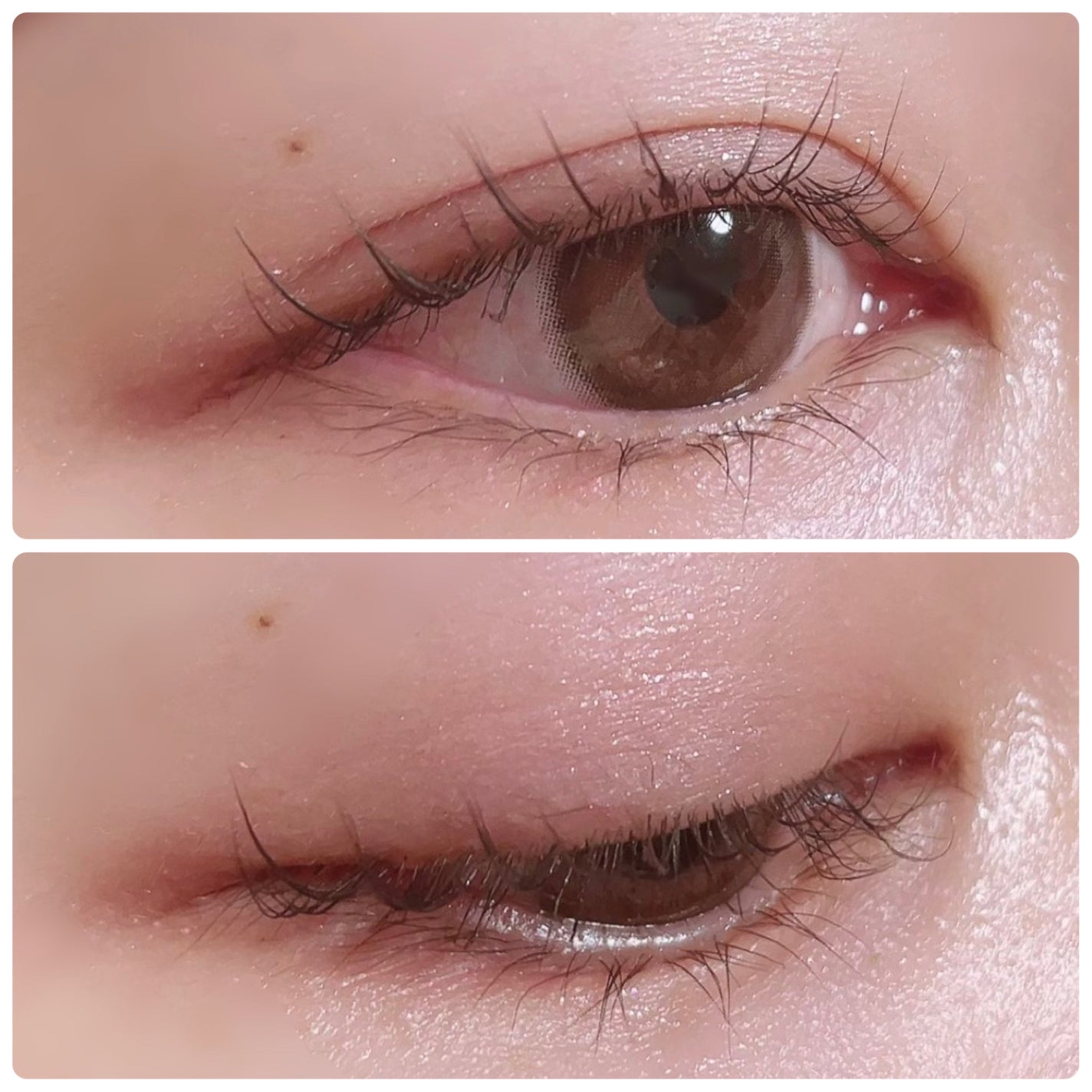 NEWリアルアイハンディパレット/espoir/アイシャドウパレットを使ったクチコミ(4枚目)