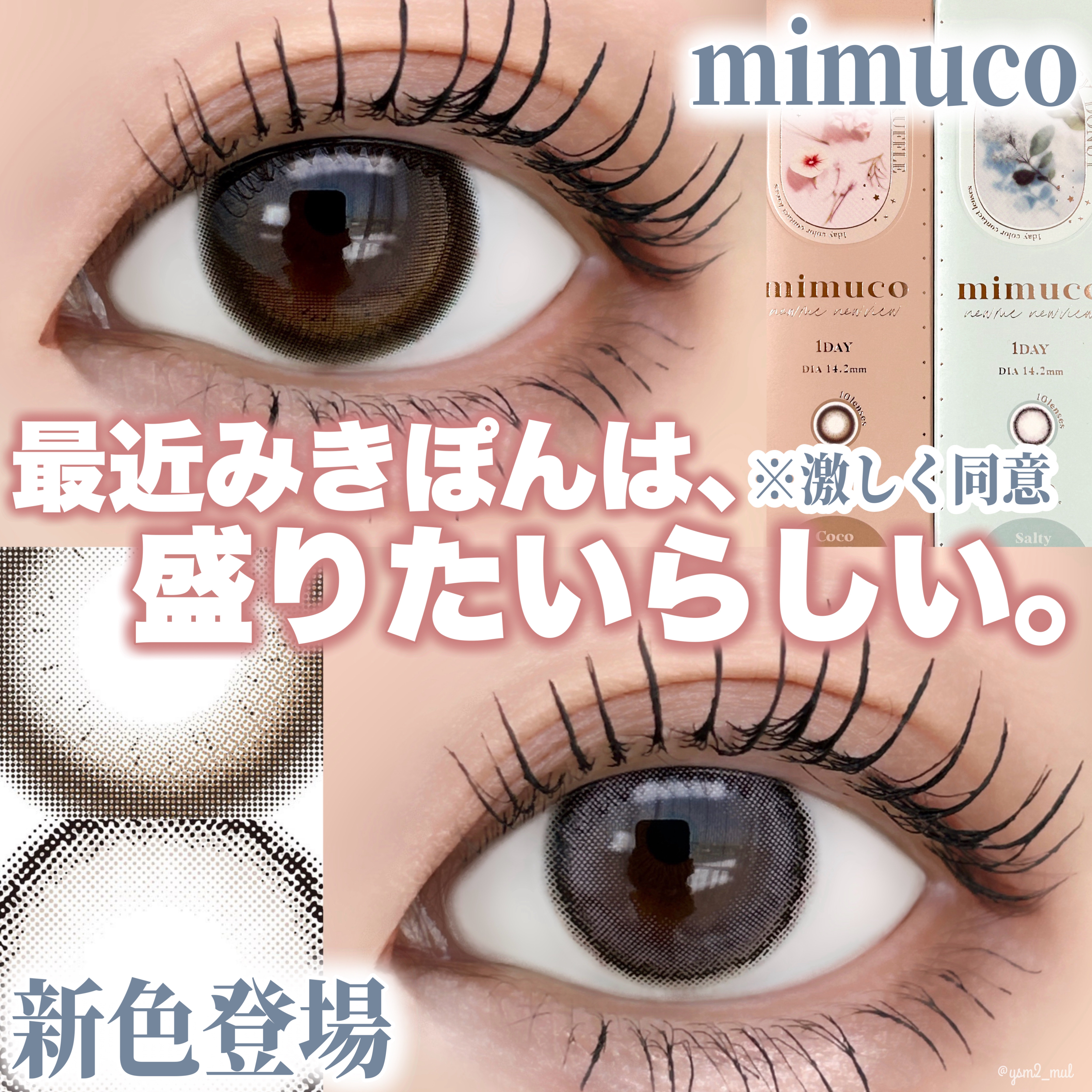 mimuco 1day/mimuco/ワンデー（１DAY）カラコンを使ったクチコミ（1枚目）