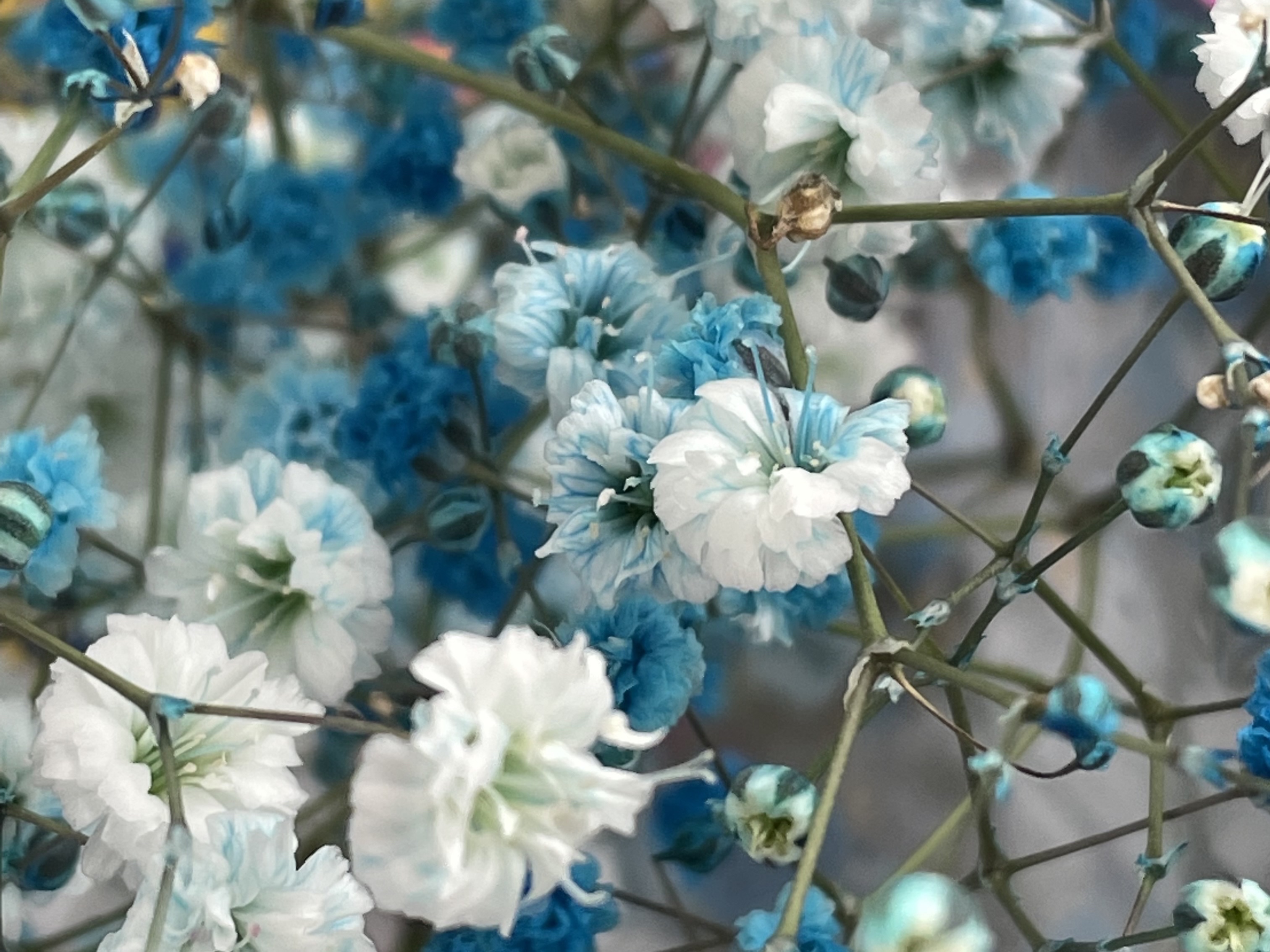 ボディスプレー ピュアソープ/ボディファンタジー/香水(レディース)を使ったクチコミ（2枚目）