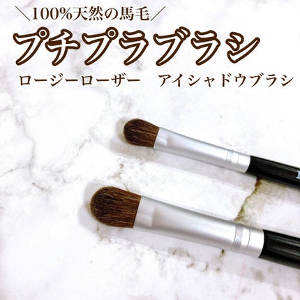 アイシャドウブラシセット/ロージーローザ/メイクブラシを使ったクチコミ(1枚目)