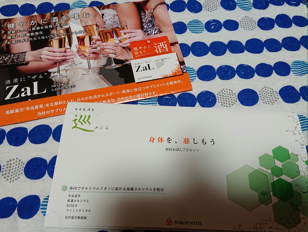 日々是漢方「巡」/SOA FOODS/健康サプリメントを使ったクチコミ（1枚目）