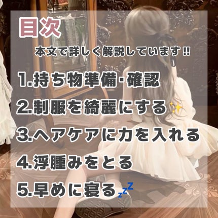 携帯用ほこり取り(折りたたみ)/DAISO/その他を使ったクチコミ(2枚目)