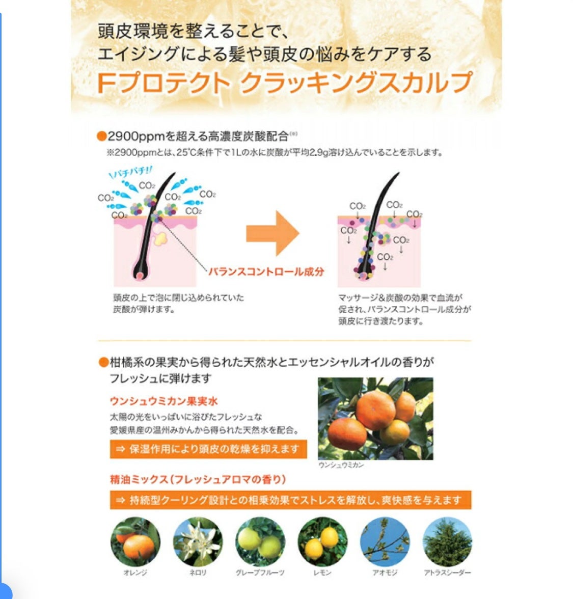 Fプロテクト クラッキングスカルプ/FIOLE/頭皮ローションを使ったクチコミ(2枚目)