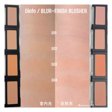 Blur-Finish Blusher 502/Dinto/パウダーチークを使ったクチコミ（3枚目）