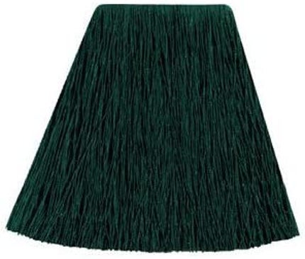 グリーンエンヴィ Green Envy