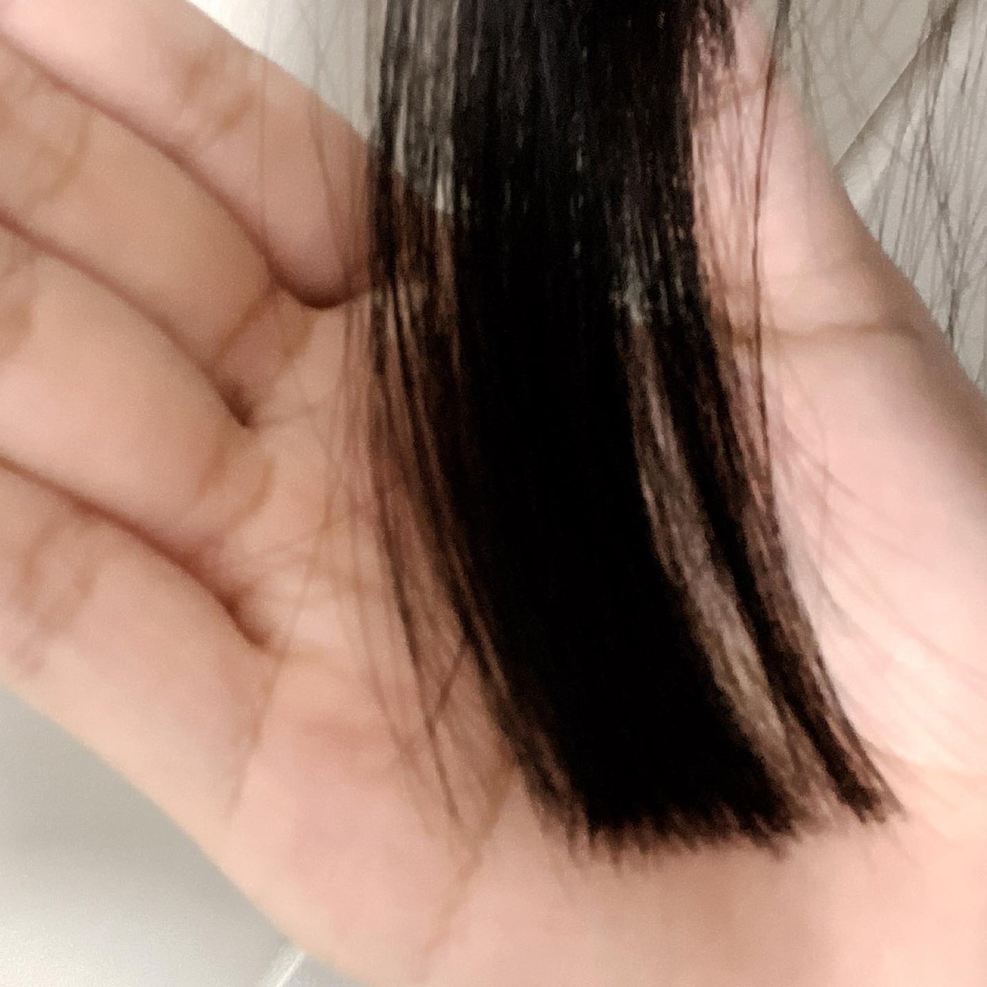 美容オタクmik on LIPS 「_オージュアFMフィルメロウミルク昨日、美容室で一目惚れして購..」(3枚目)