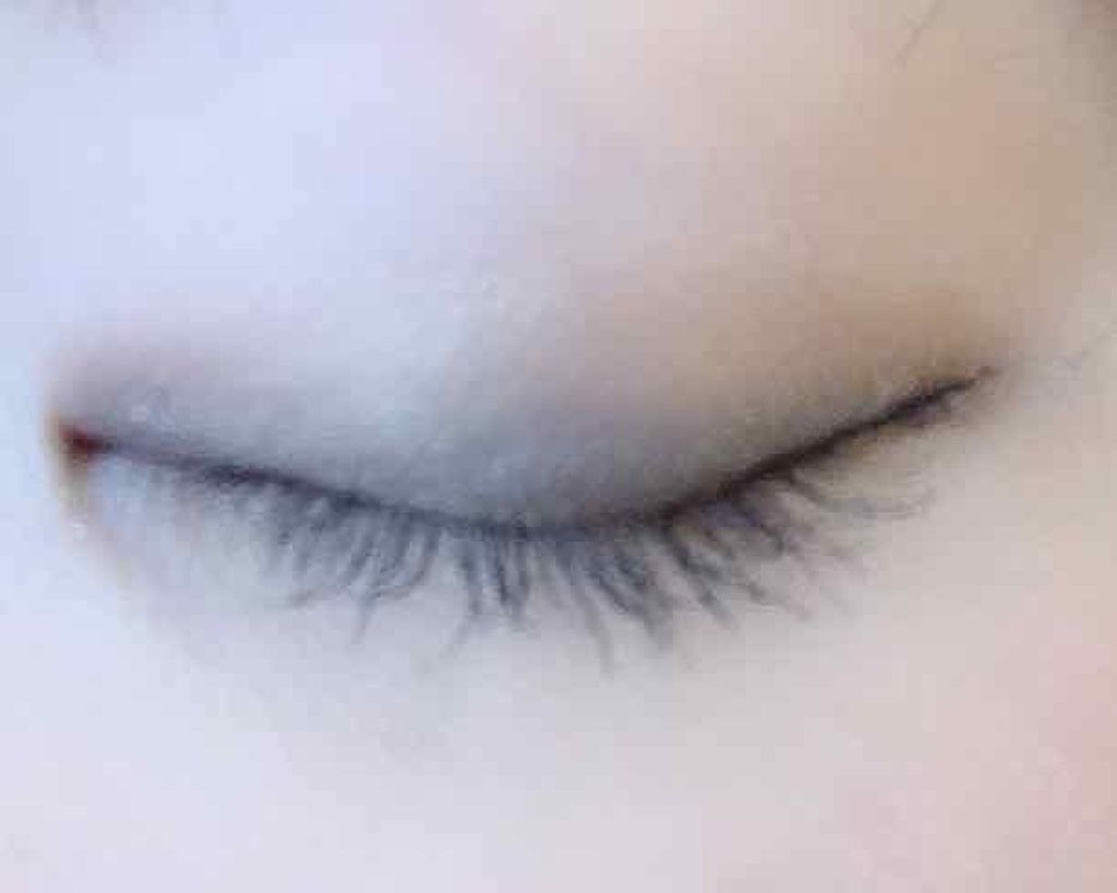 ヴィンテージモードアイズ/KATE/アイシャドウパレットを使ったクチコミ（3枚目）