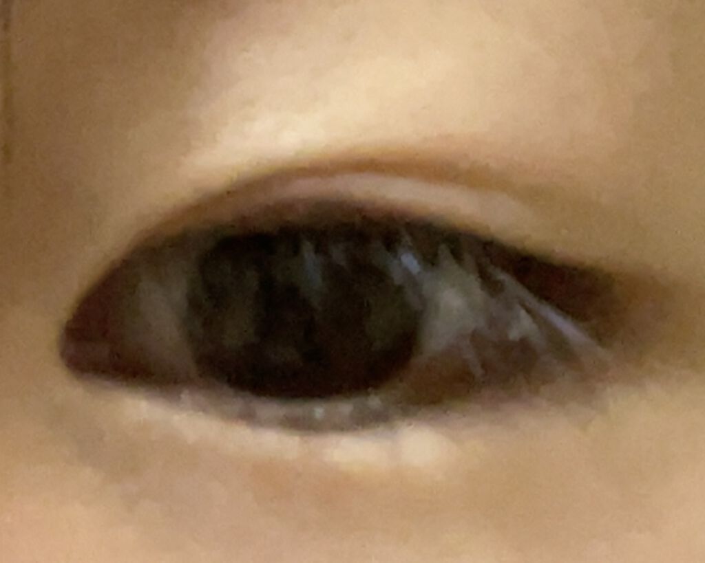 ナイトアイボーテ/StreeTrend/二重まぶた用アイテムを使ったクチコミ（1枚目）