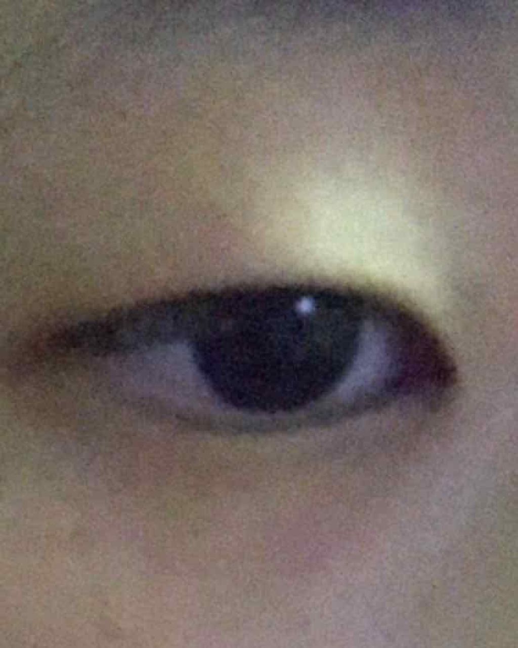 フレームインパクトボリュームマスカラ/KATE/マスカラを使ったクチコミ(2枚目)