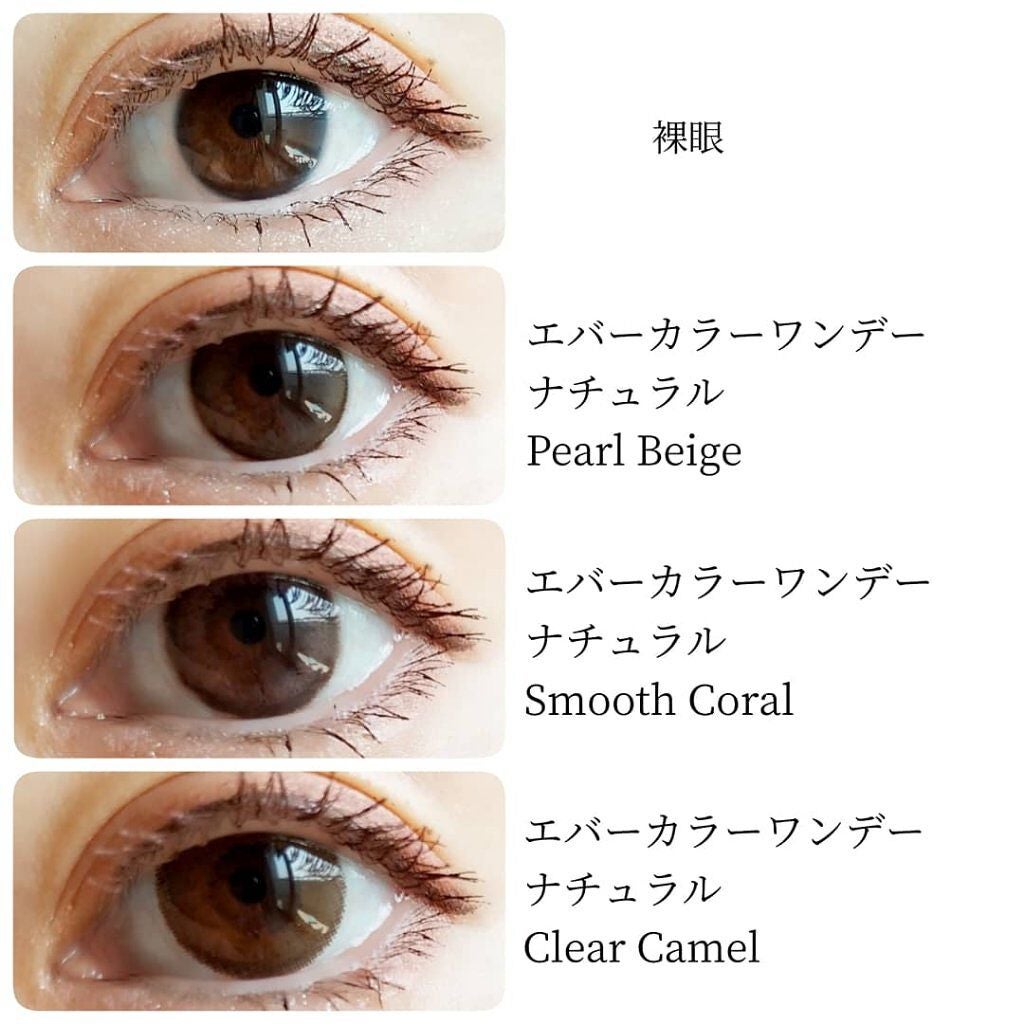 エバーカラーワンデー ナチュラル/エバーカラー/ワンデー(1DAY)カラコンを使ったクチコミ(3枚目)