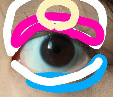 絵画アイシャドウパレット/MilleFée/アイシャドウパレットを使ったクチコミ(5枚目)