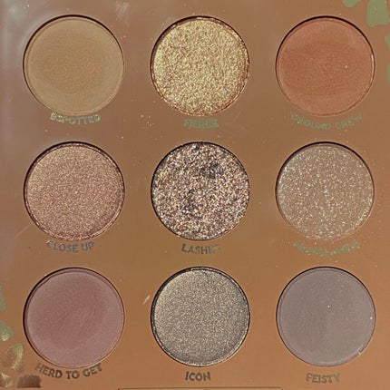 ワイルドチャイルド/ColourPop/アイシャドウパレットを使ったクチコミ(2枚目)
