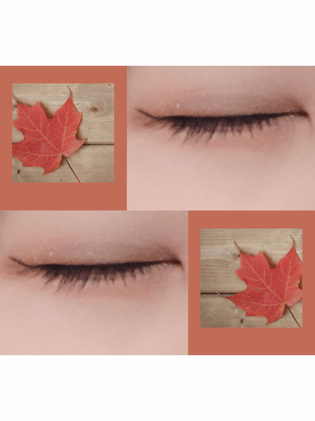 シングルカラーアイシャドウ/CEZANNE/単色アイシャドウを使ったクチコミ（1枚目）