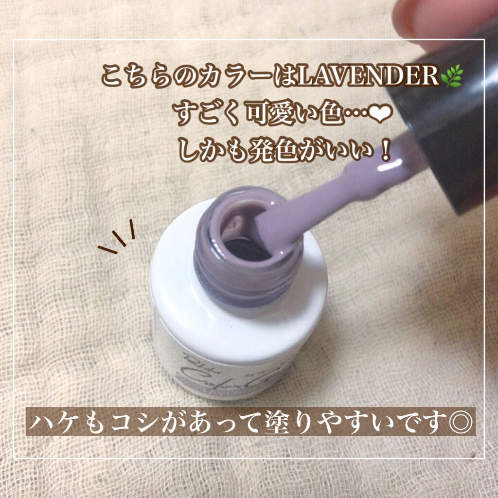 キャンドゥ購入品😄💞/キャンドゥ/その他を使ったクチコミ(2枚目)