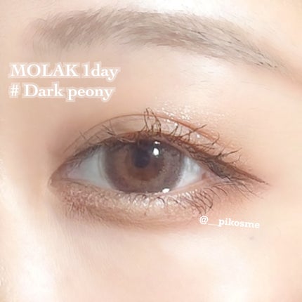 MOLAK 1day/MOLAK/ワンデー(1DAY)カラコンを使ったクチコミ(5枚目)