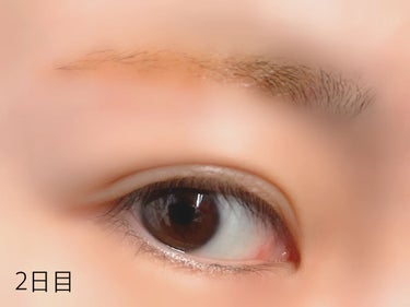 眉ティントSVR/Fujiko/眉ティントを使ったクチコミ（5枚目）