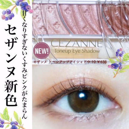 トーンアップアイシャドウ/CEZANNE/アイシャドウパレットを使ったクチコミ(1枚目)