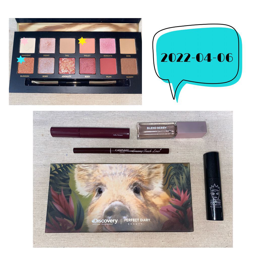 エクスプローラ12色 動物アイシャドウパレット/PERFECT DIARY/アイシャドウパレットを使ったクチコミ(1枚目)