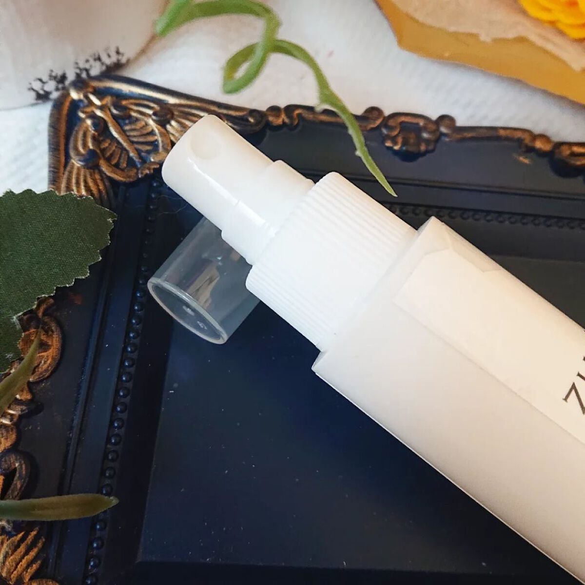 真紅 on LIPS 「除菌消臭スプレー【ジアクリア500ml&携帯用60ml】を使っ..」(5枚目)