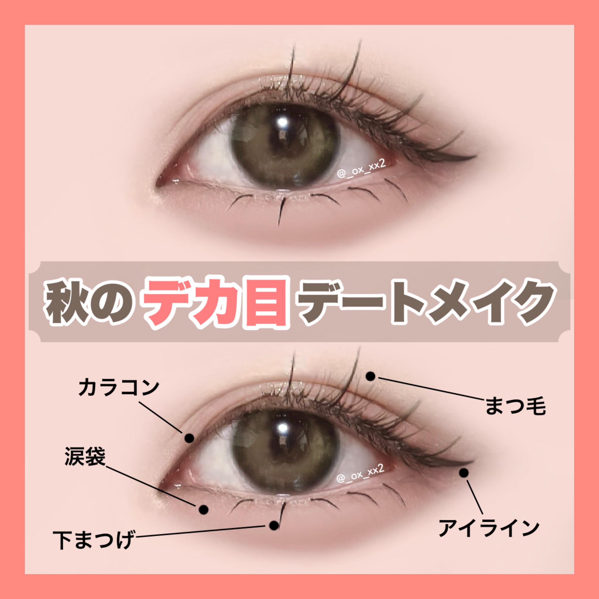 3CE マルチアイカラーパレット/3CE/アイシャドウパレットを使ったクチコミ（1枚目）