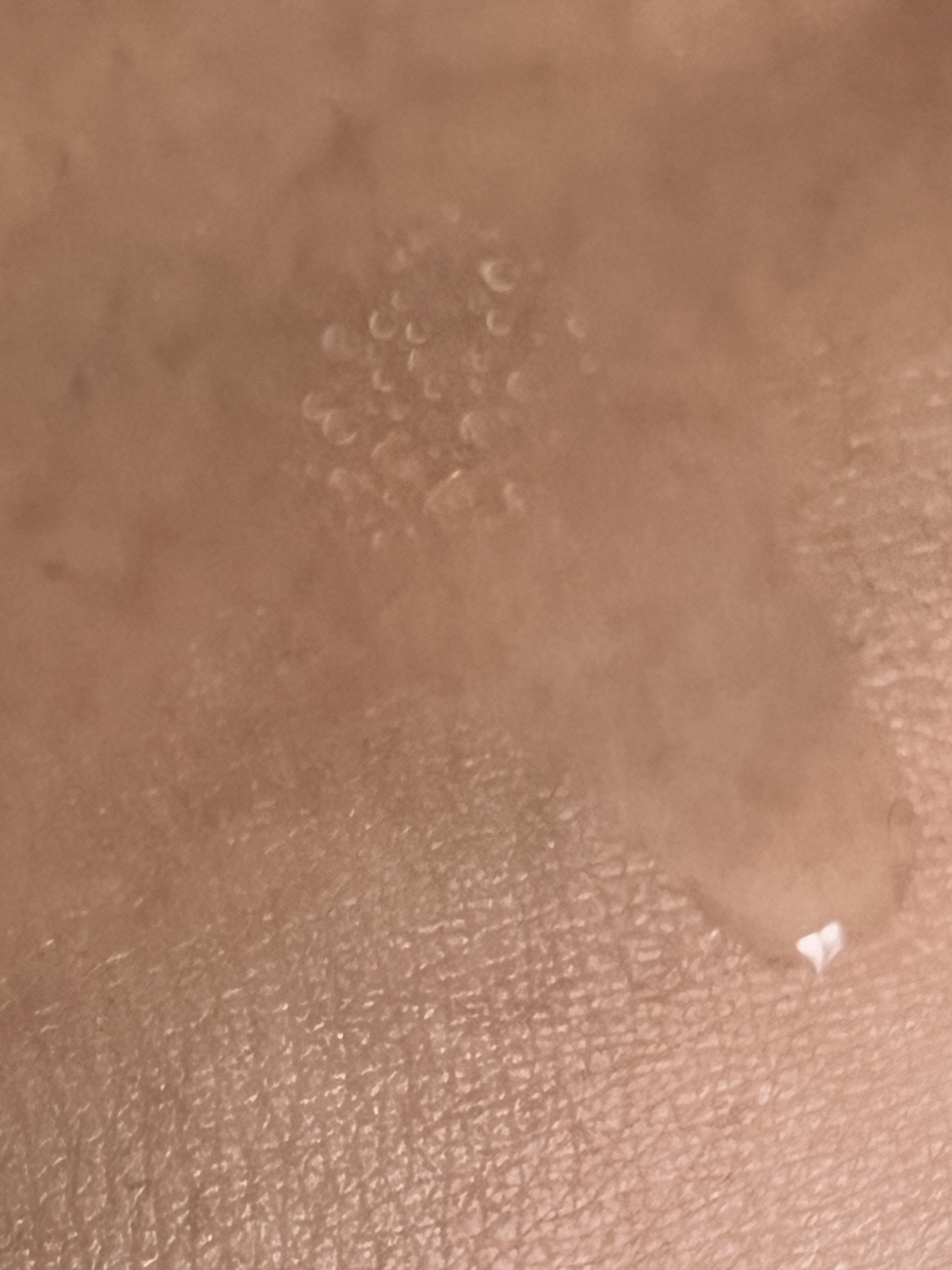 マイクロデュアルセラムトナー/Biodance/化粧水を使ったクチコミ（3枚目）