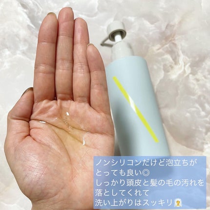 SQ アンチポリューションシャンプー アクアマグノリアの香り/ShinkoQ/市販シャンプーの画像