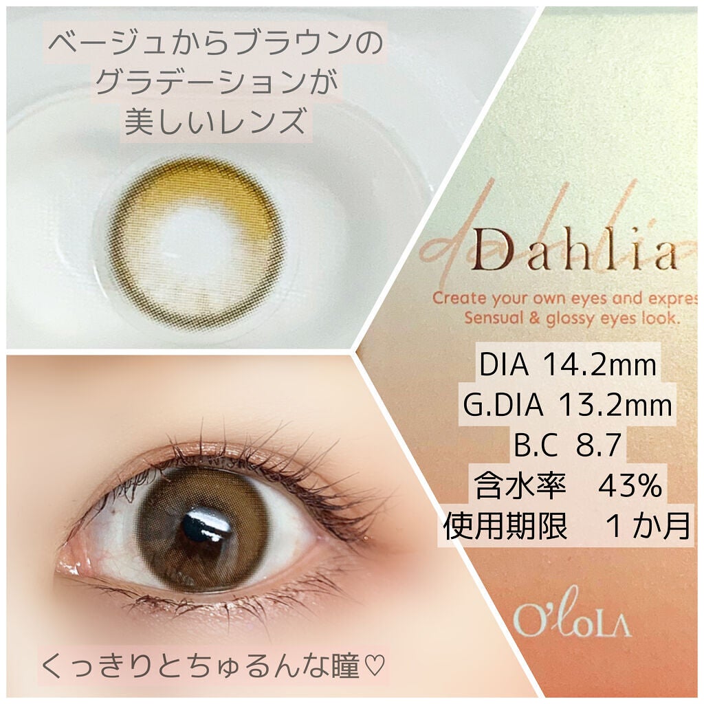 ダリアブラウンマンスリー (DAHLIA BROWN monthly)/OLOLA/1ヶ月(1MONTH)カラコンを使ったクチコミ(2枚目)
