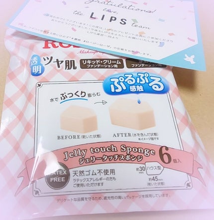 ジェリータッチスポンジ ハウス型/ロージーローザ/パフ・スポンジを使ったクチコミ(1枚目)