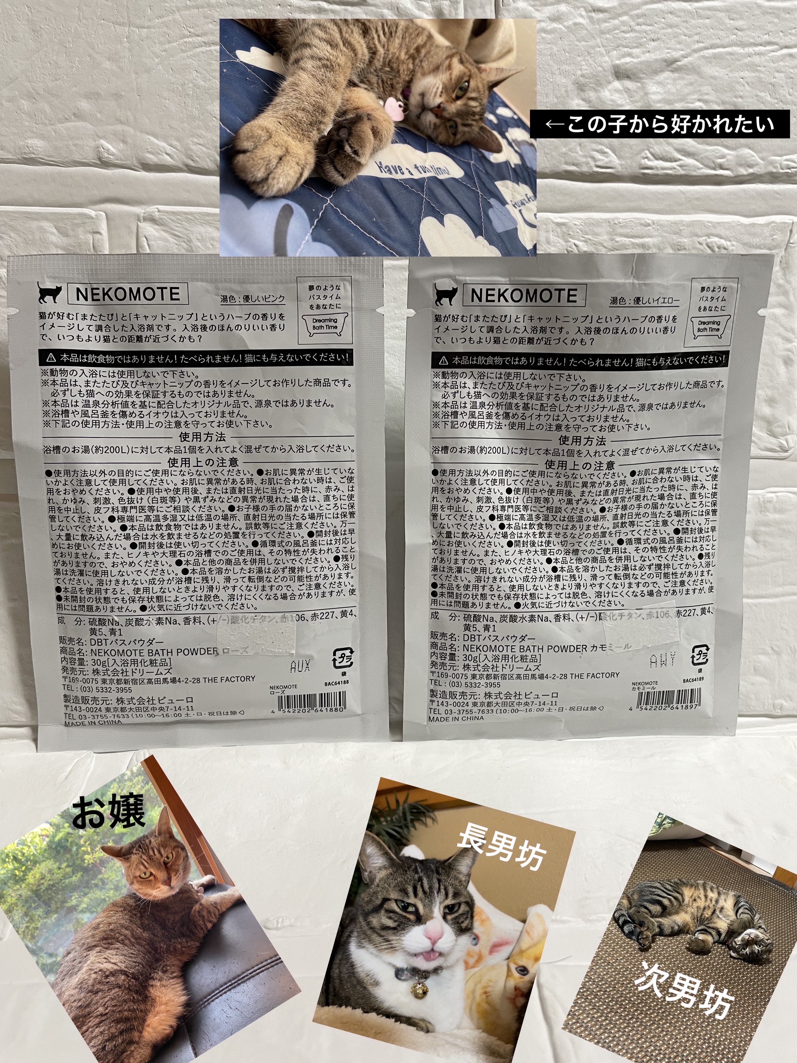 猫にモテたい入浴剤/ビューロ/その他を使ったクチコミ（2枚目）